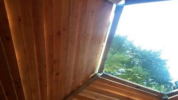 Permalink to: Geodesic Dome